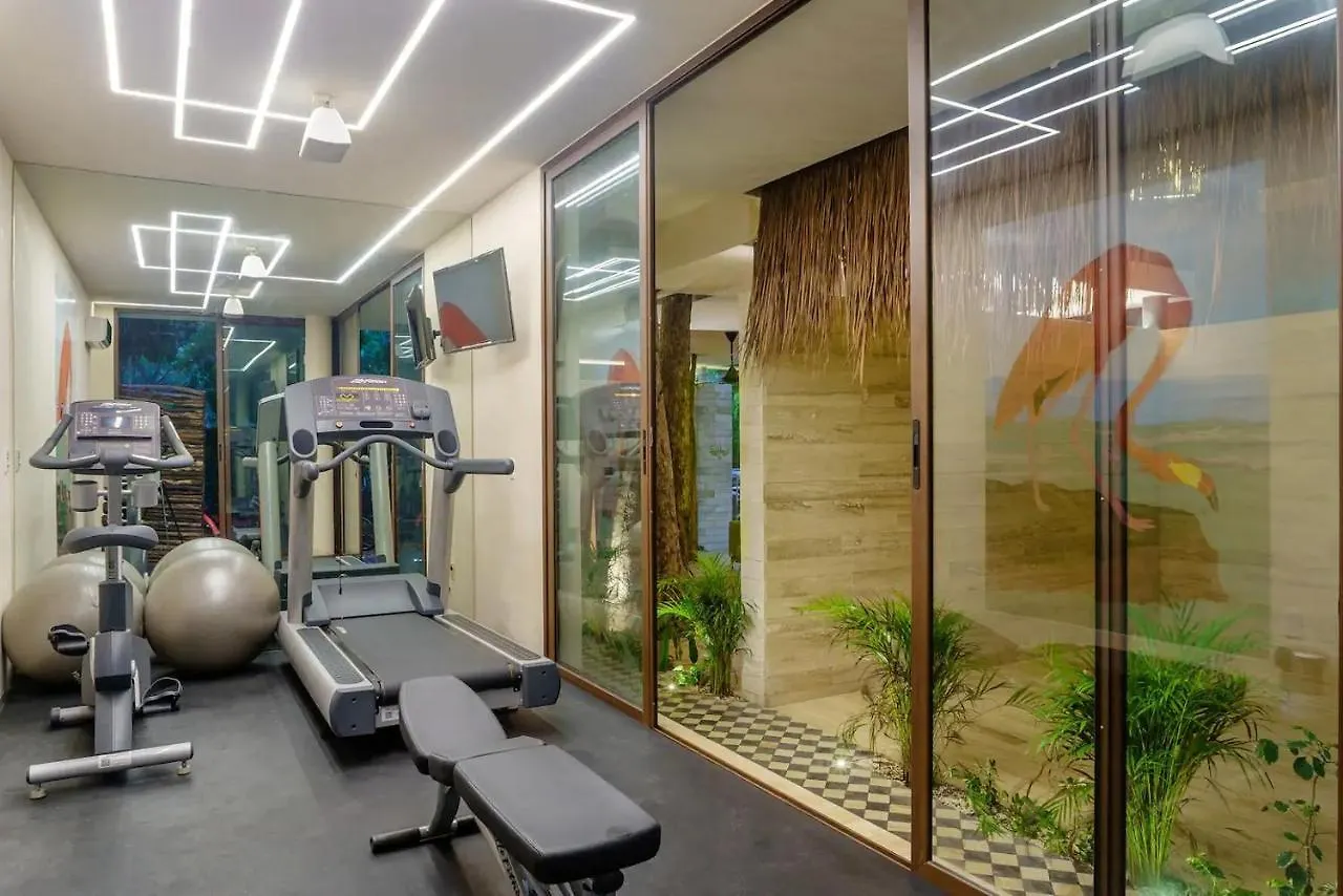 Casa Libre - Great For Couples 1Br With Private Pool By Staypodio 408 图卢姆 墨西哥